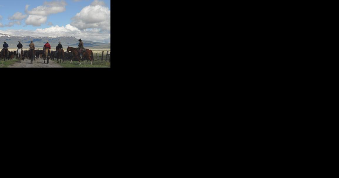 Rupert Murdoch buys sprawling ranch in Beaverhead County - Vimarsana News