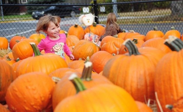 pumpkin patch helena