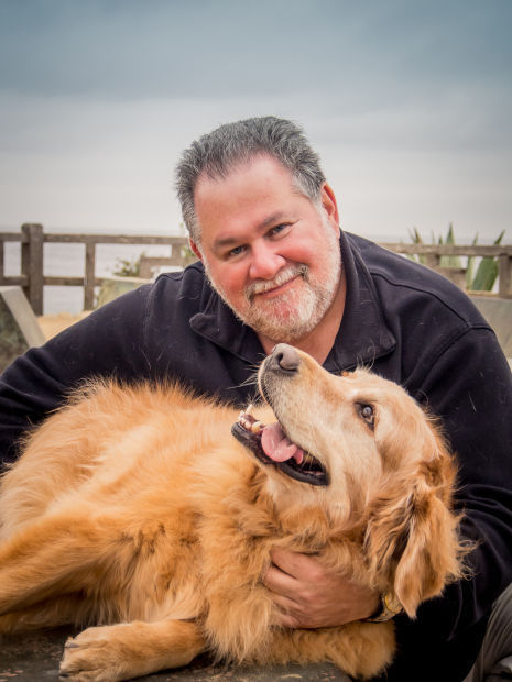 pet therapy international