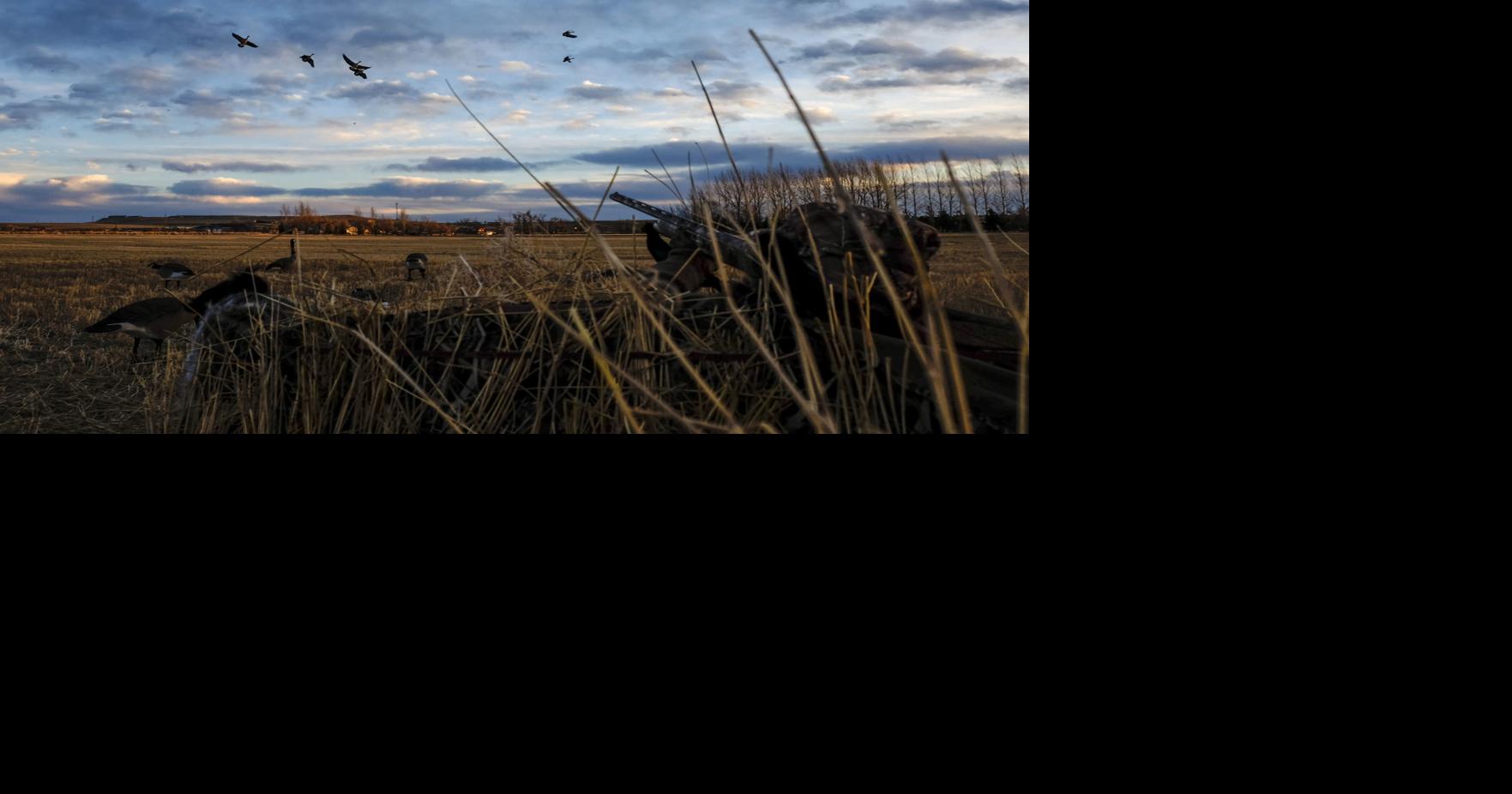 Proposal to lift waterfowl hunting closure on Yellowstone