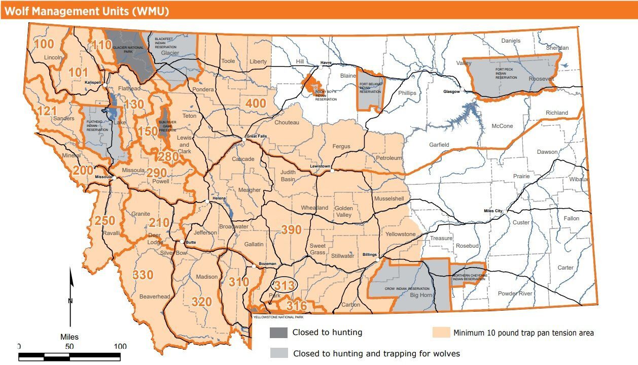 FWP To Decide Future Of Wolf Quota Areas Near National Parks