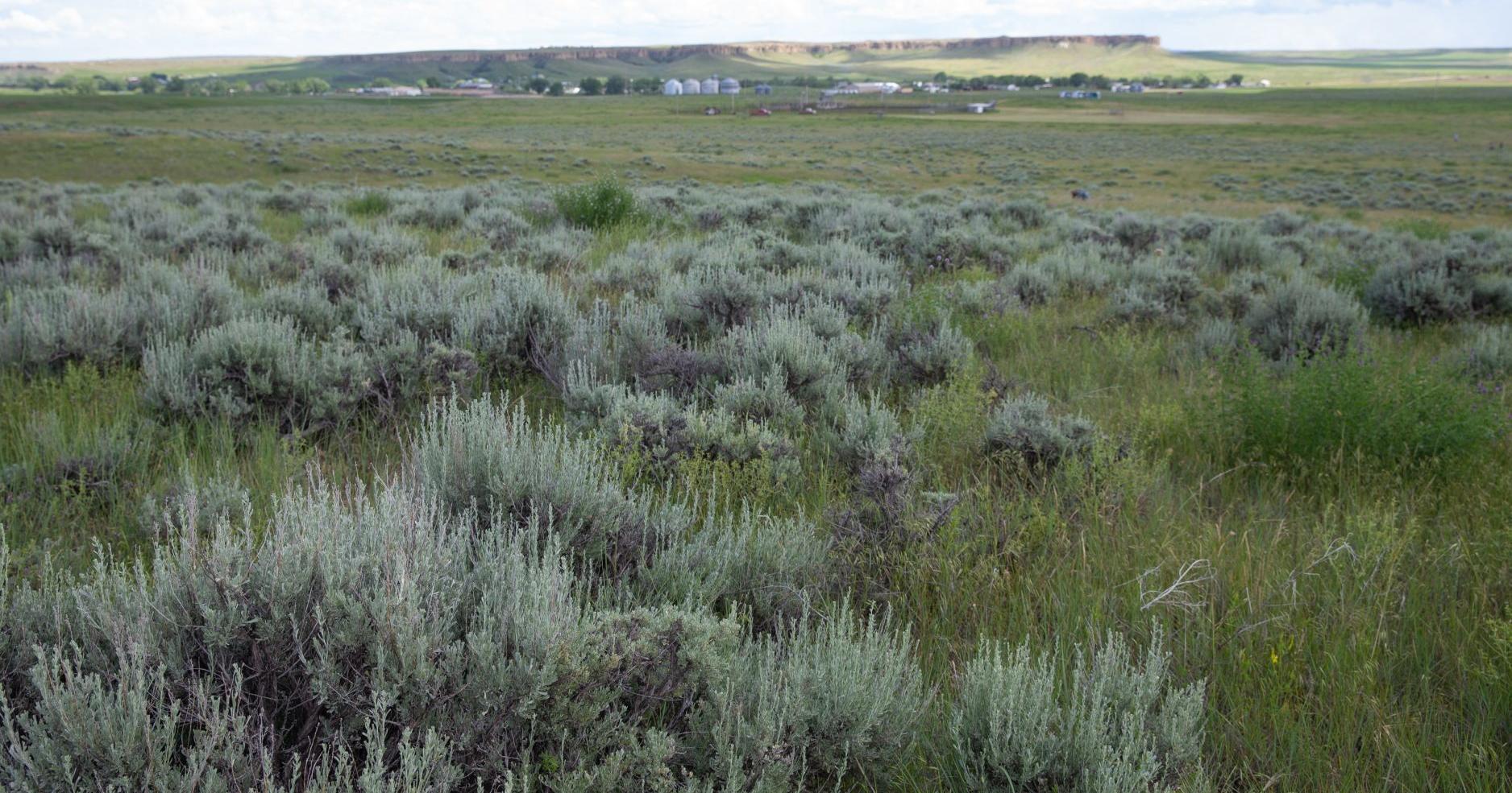 Lawmakers debate new habitat leasing program - Vimarsana News