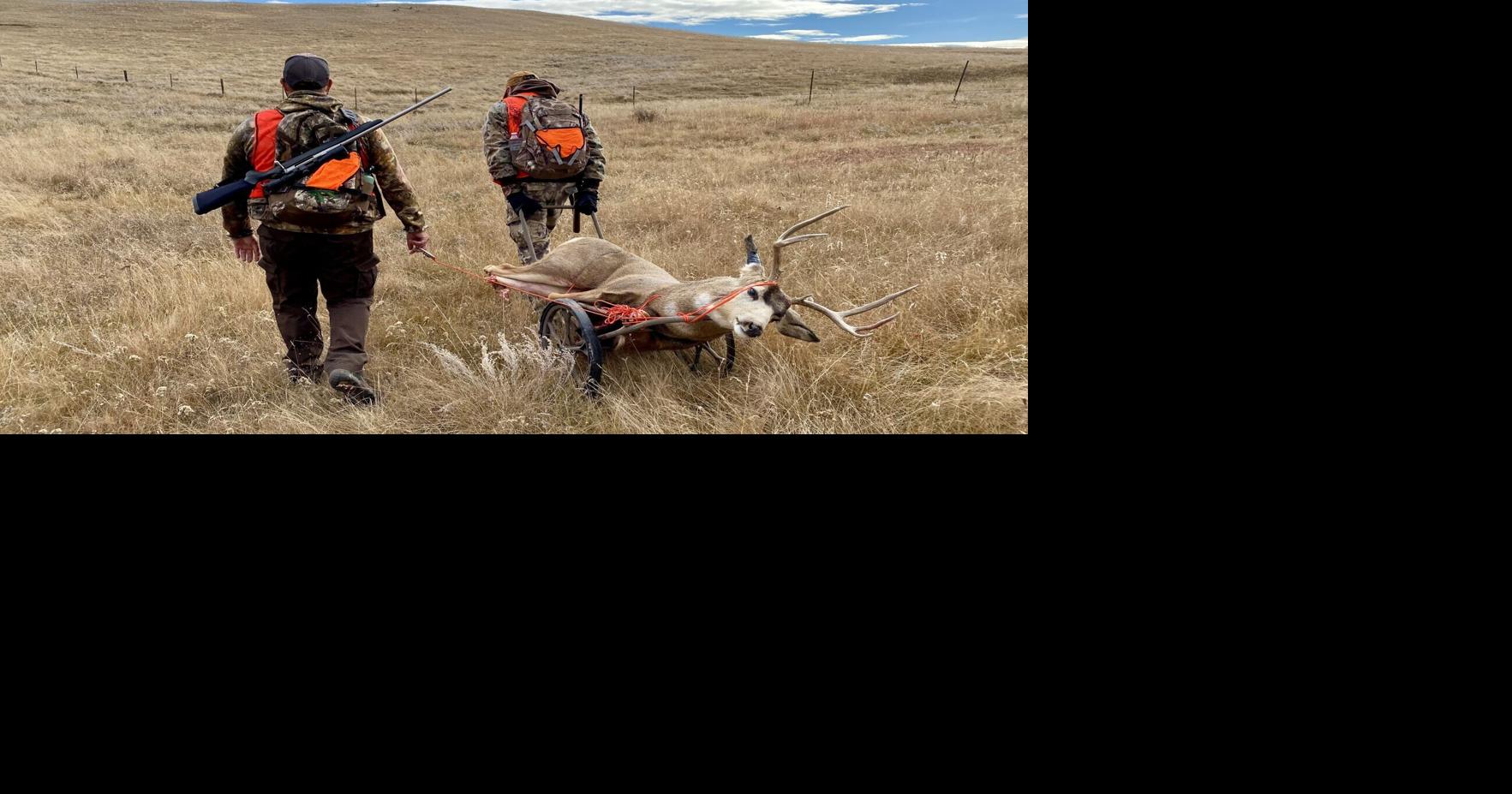 CWD detected for first time in central Montana district