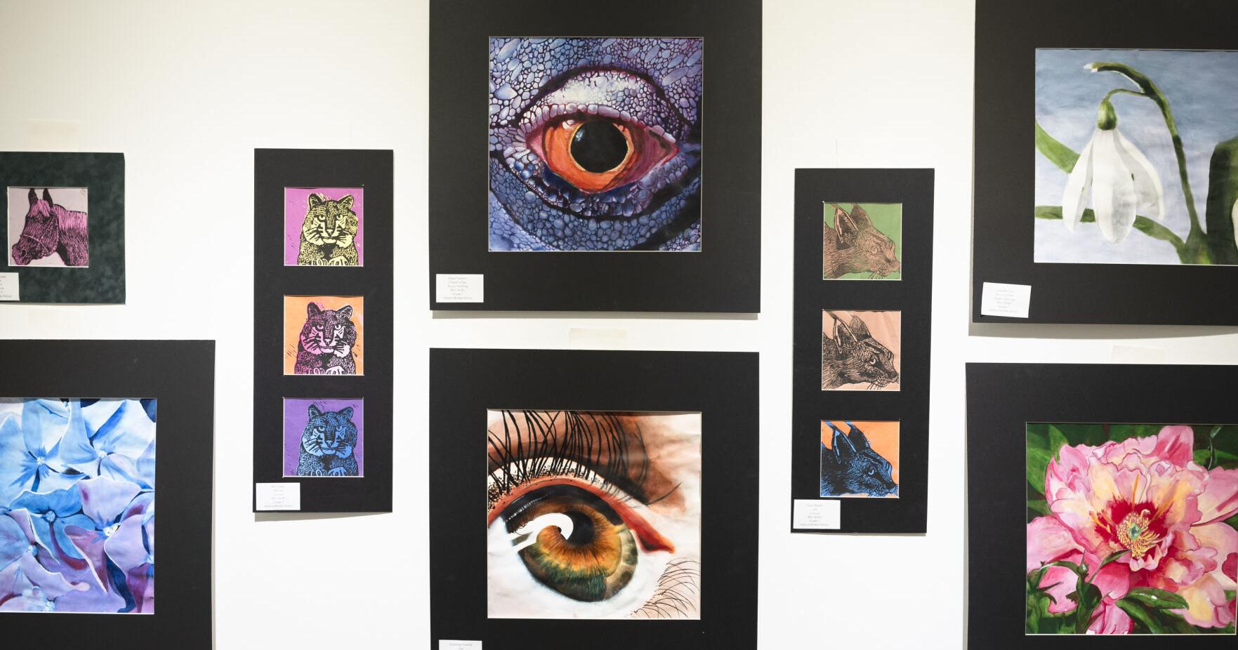 New exhibits at The Holter showcase young artists - Vimarsana News