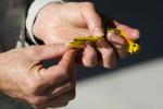 MAPS Bird Banding at Spring Meadow