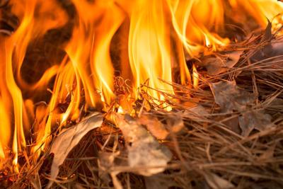 Stage I fire restrictions lifted