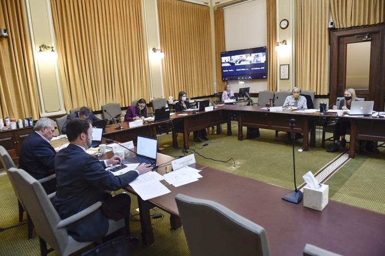 Montana Districting and Apportionment Commission