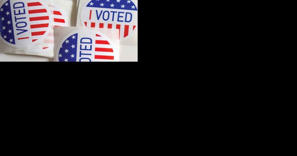 2022 Primary Election Guide: Meet the candidates on Helena-area ballots - Vimarsana News