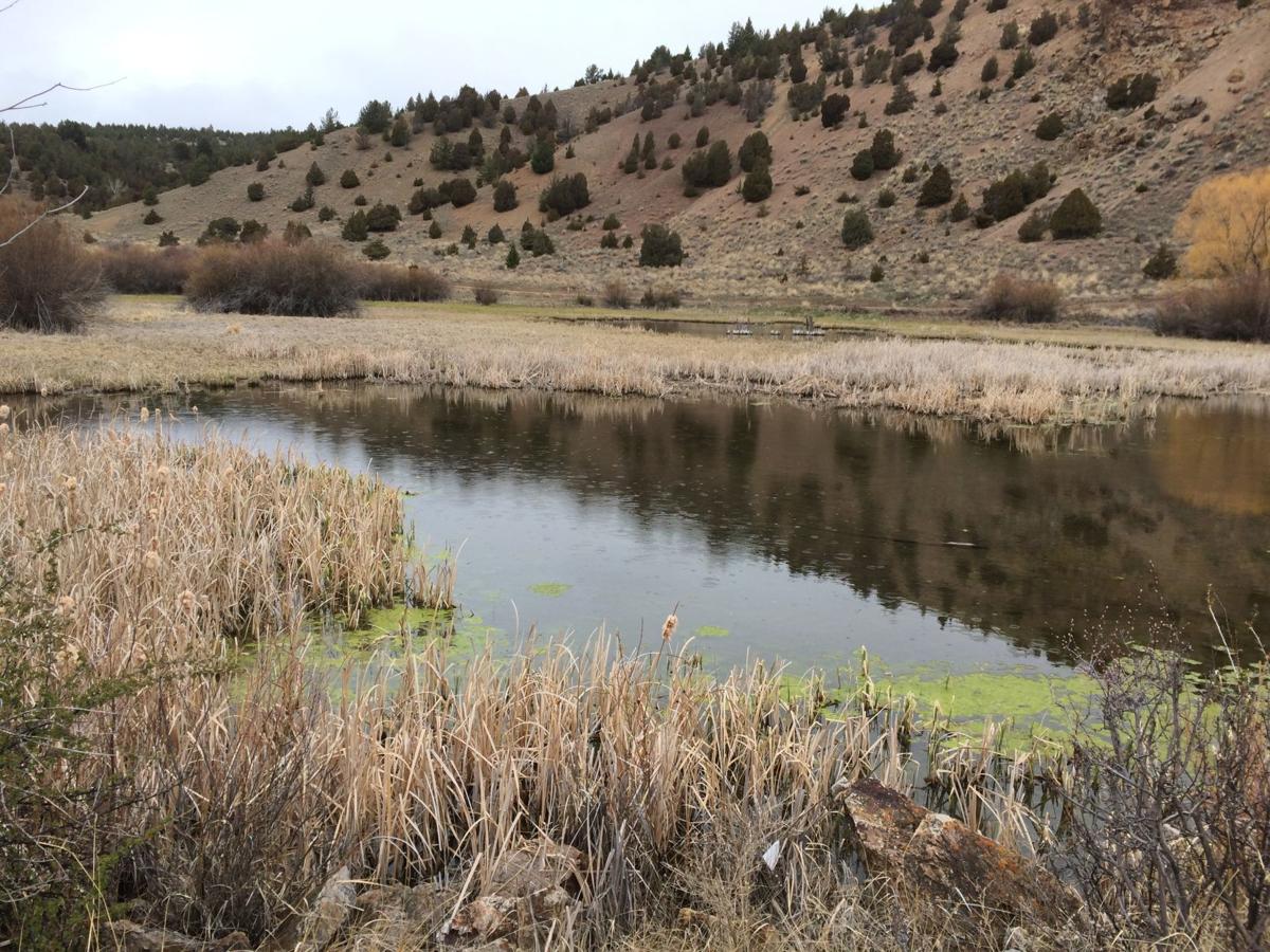 Get walking! New trail opens at Hefner’s Dam in Anaconda