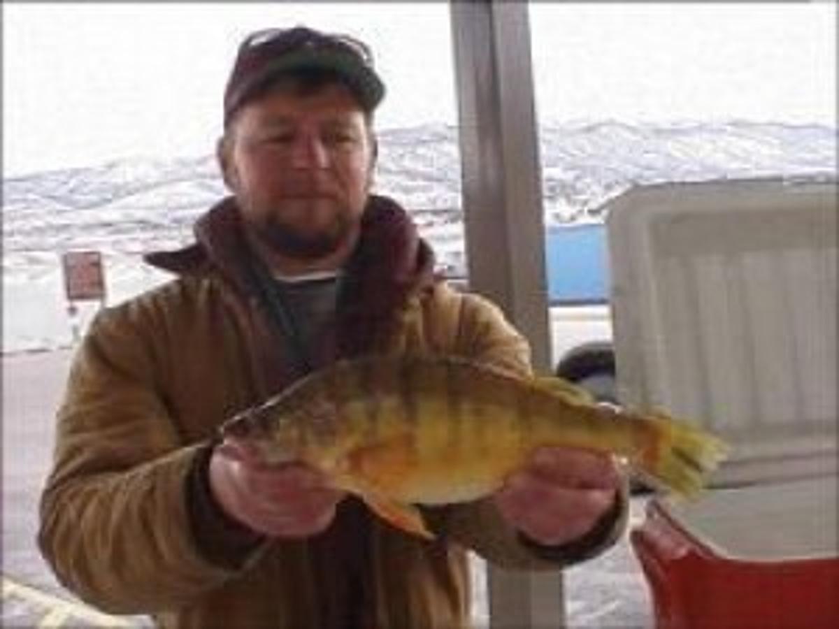 Fish Food Yellow Perch Favorite Menu Item For Most Outdoors Helenair Com One that is of the lowest status or rank. fish food yellow perch favorite menu