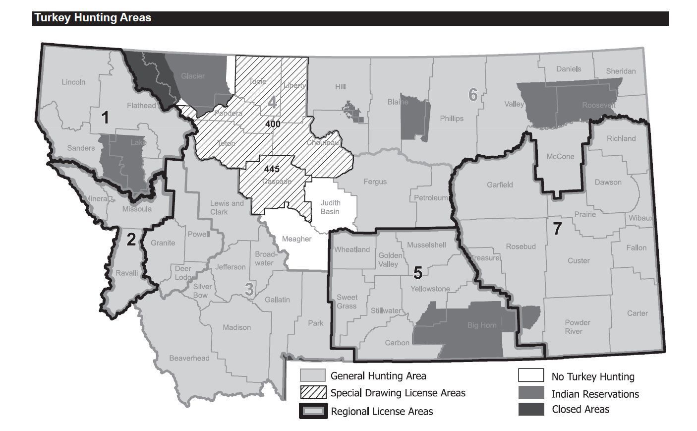 Prolific Turkey Populations Spread Hunting Opportunities Across Montana ...