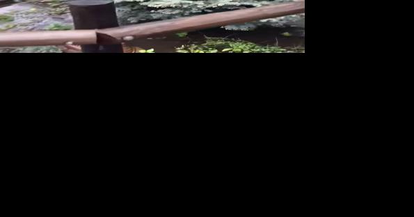 Tizer Gardens owner thankful for help through the weekend storm - Vimarsana News