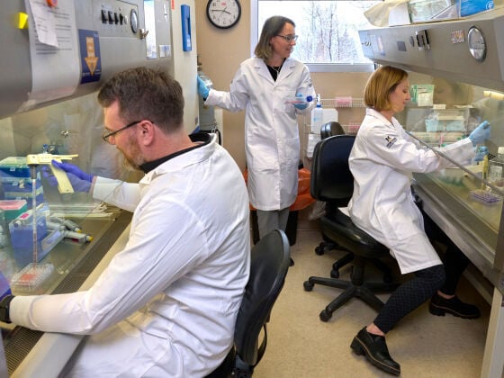 Montana State University’s annual research spending grows 7% to top $300 million for the first time
