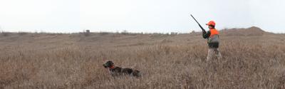Youth Pheasant, Waterfowl Weekend Sept. 23-24