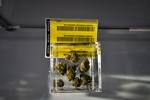 Marijuana on display at The Higher Standard