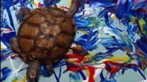 Art Junkies Shelling Out Big Bucks For Turtle Paintings National Helenair Com