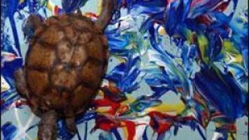 Art Junkies Shelling Out Big Bucks For Turtle Paintings National Helenair Com
