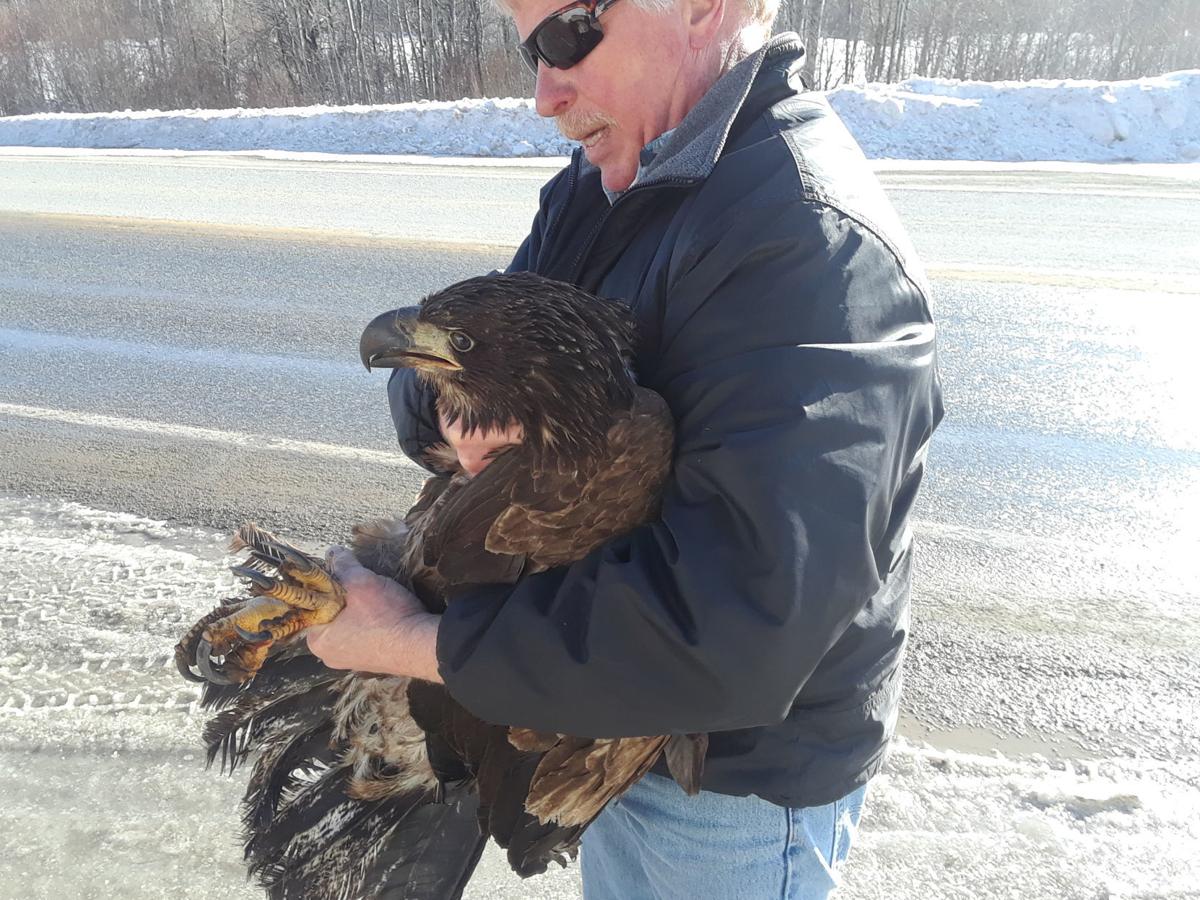 Pat Shanley with Eagle