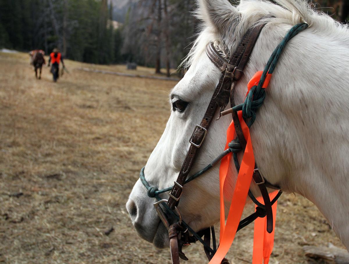 Hunting harvest picks up, wild game processors swamped
