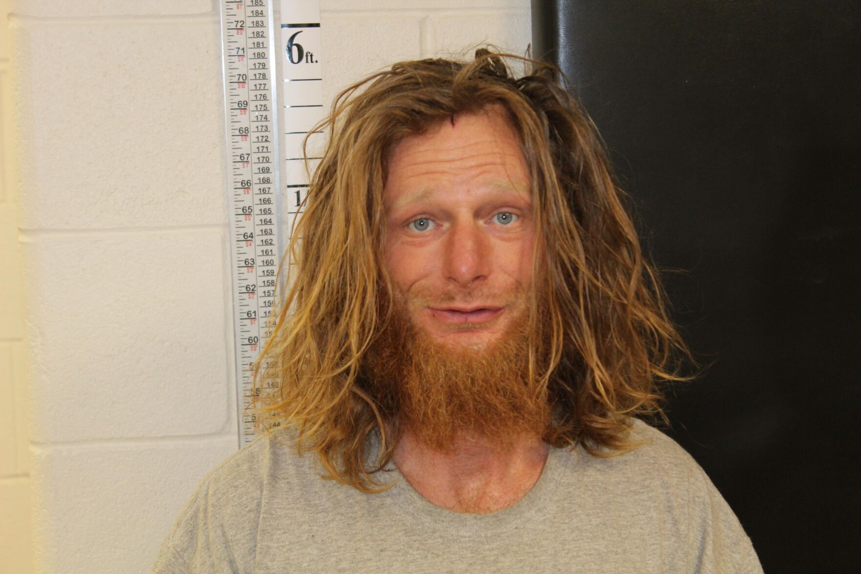Colorado man charged after Helena officer injured in chase