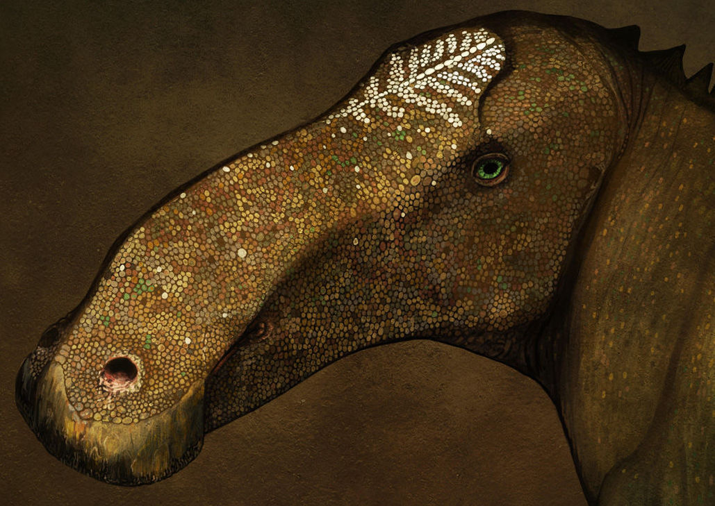 dinosaur with duckbill mouth