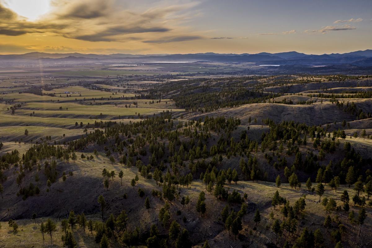 Potter Ranch