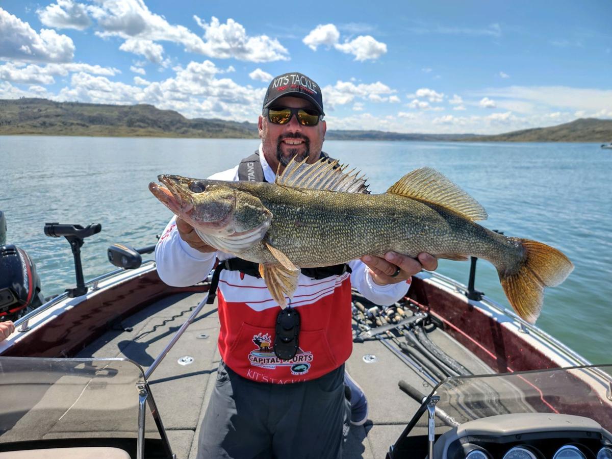 Montana walleye anglers cite persistence, adaptability for success