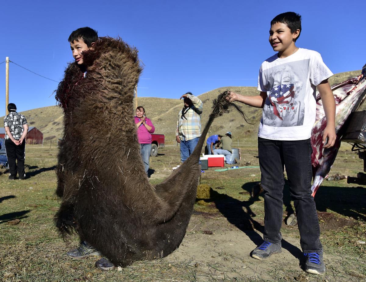 Horns of hope Buffalo and Blackfeet students share lifesustaining