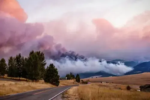 Residents Urged to Sign Up for Emergency Alerts for Wildfire, Other Hazards