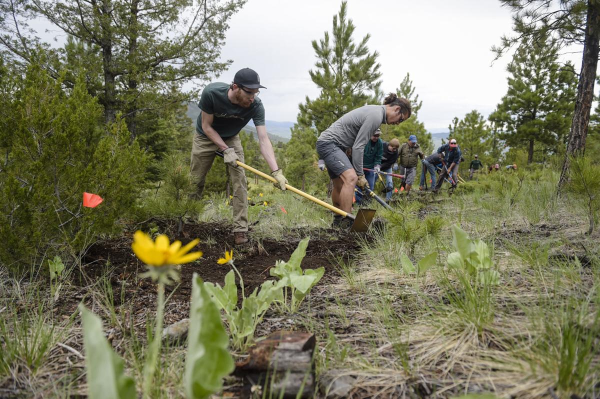 Photo: Volunteers carve out new trail in the South Hills (copy)