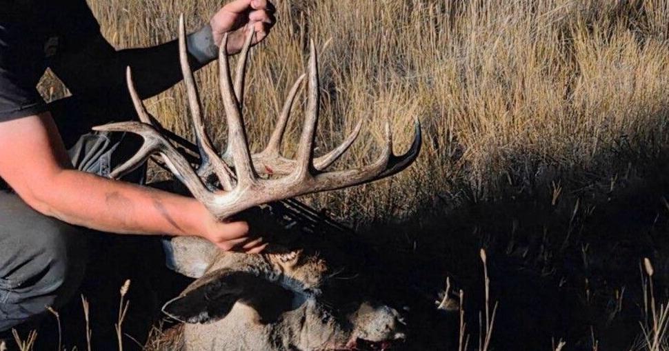 Montana man loses hunting license, ordered to pay $3K after poaching trophy deer Jun 3, 2026 1 hr ago