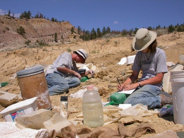 dinosaur digging sites