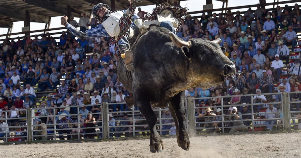 Photos: True grit on display at the Augusta Rodeo