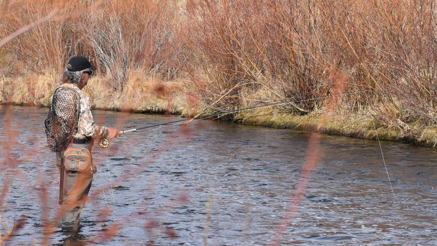 Online survey seeks public input on Warm Springs Ponds - Vimarsana News