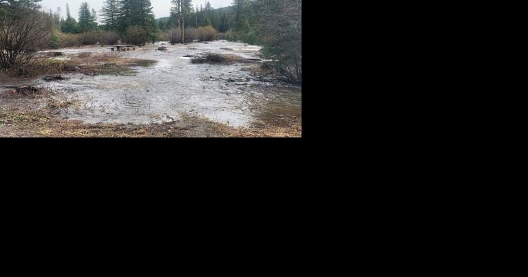 Outdoor briefs: Soggy start in forest; trail grants; Family Fishing Day; and more - Vimarsana News