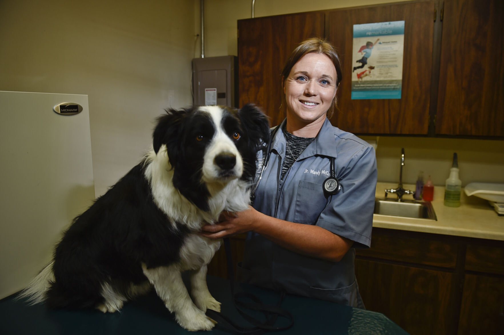 center veterinary hospital