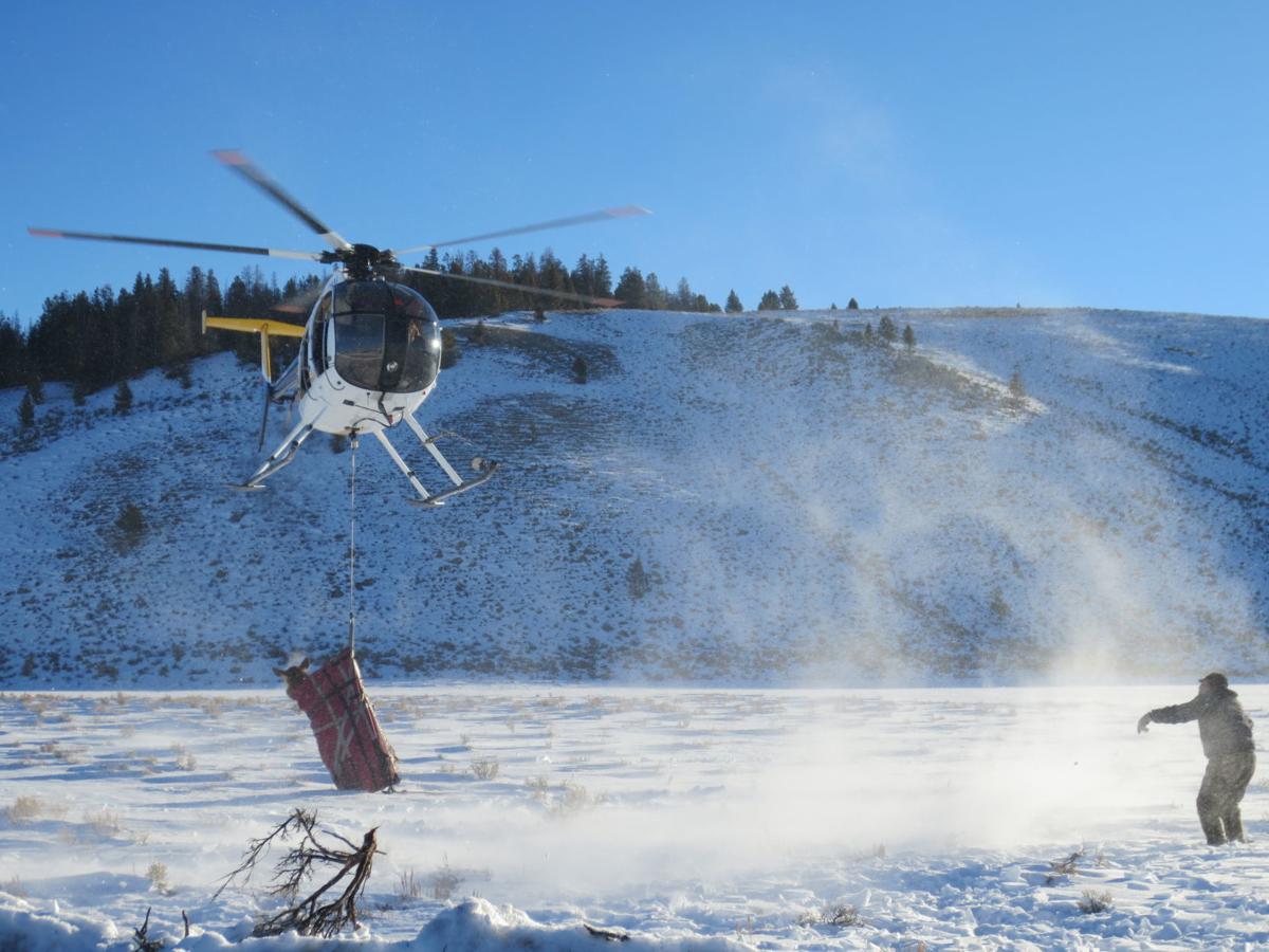 Elk lift