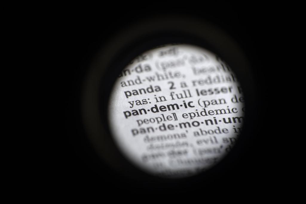 Pandemic Mamba Malarkey Merriam Webster S Most Looked Up Words Of 2020 National Helenair Com
