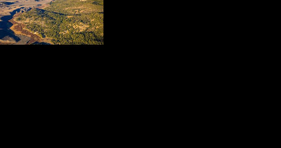 160-acre Beaverhead-Deerlodge forest inholding purchased thanks to unidentified investor - Vimarsana News