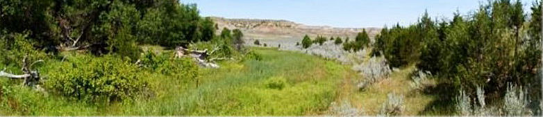Coal Creek Conservation Easements