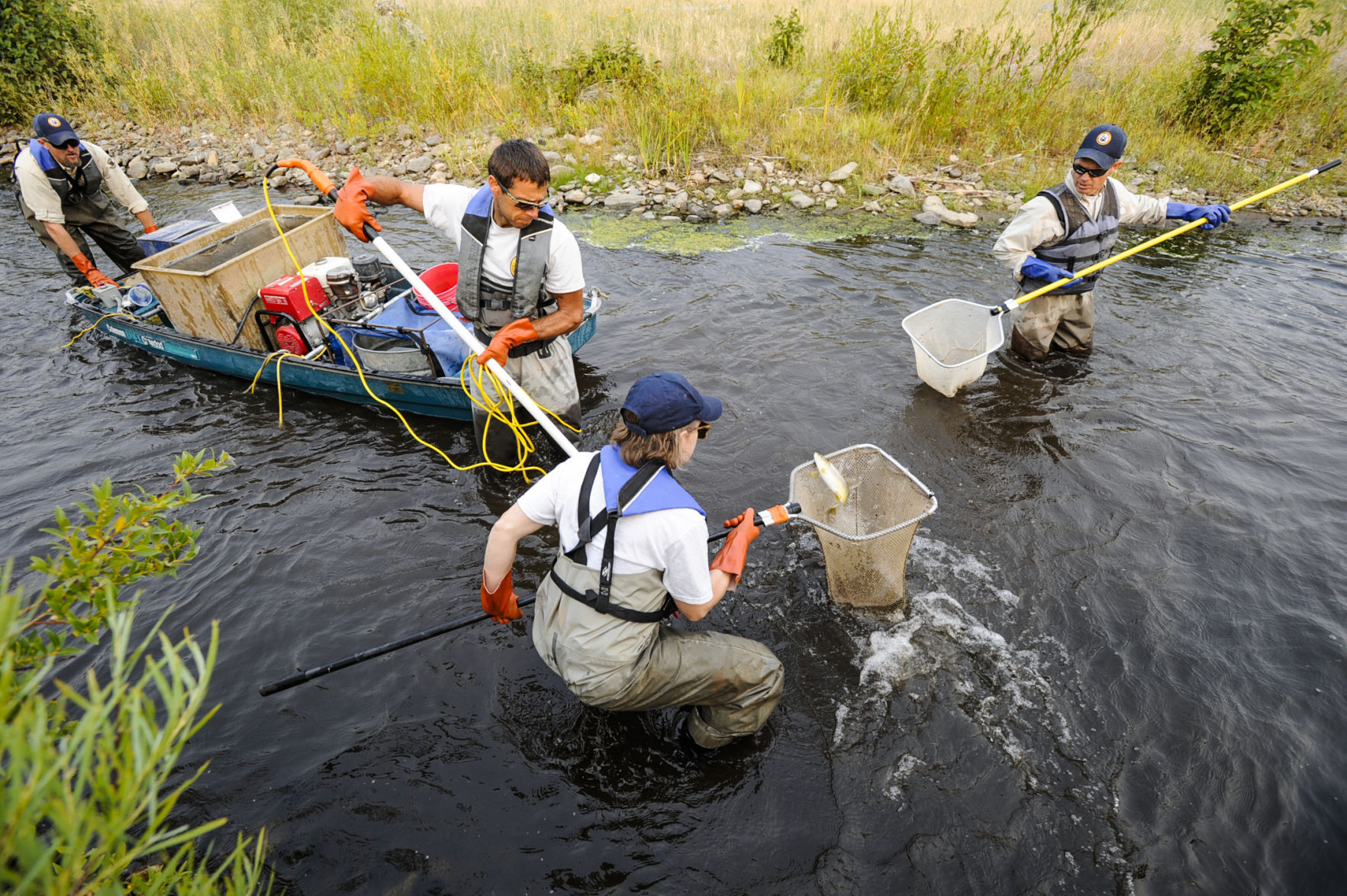 A different kind of census at Prickly Pear Creek