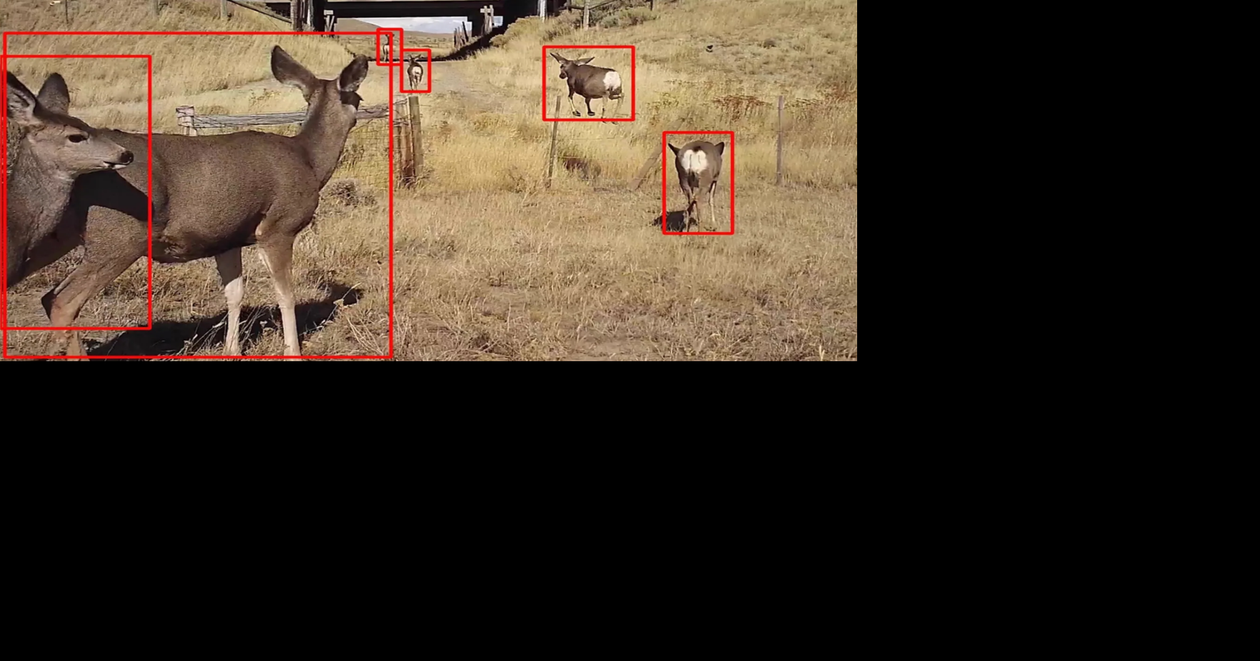 Study aims to optimize how animals can avoid crossing Wyoming's deadly I-80