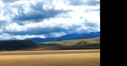 FWP seeks comments on conservation easement near Big Snowy Mountains - Vimarsana News