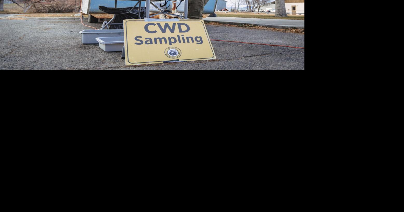 Montana FWP reports 2025 season CWD sampling effort results