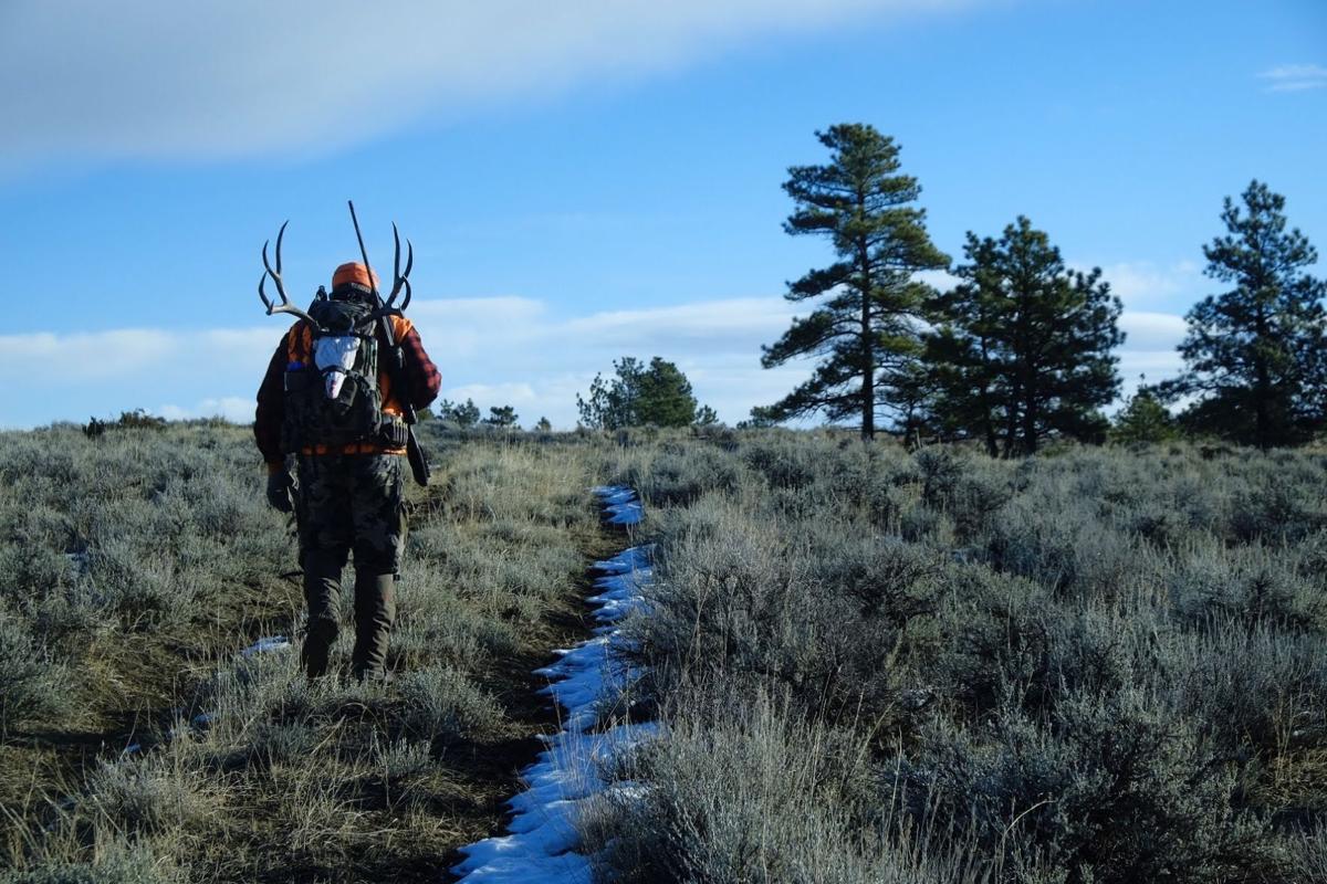 A successful hunter hikes his game