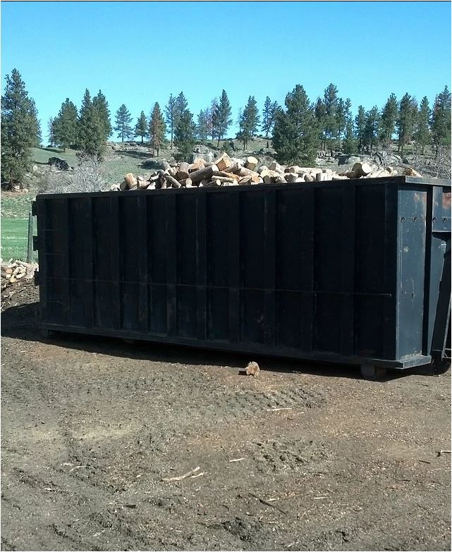 firewood bin.JPG