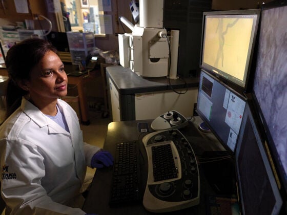 MSU event to showcase research resources and partnership opportunities for regional industries, scholars