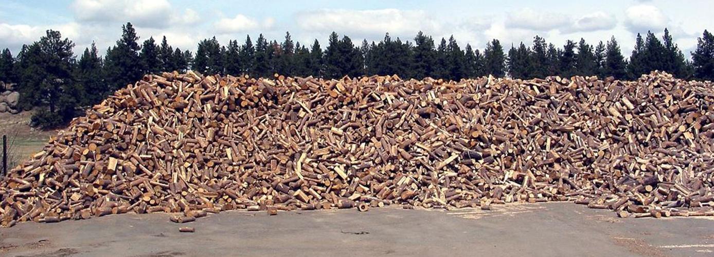 firewood pile.JPG
