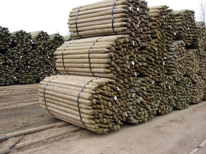 preserved pointed posts.JPG