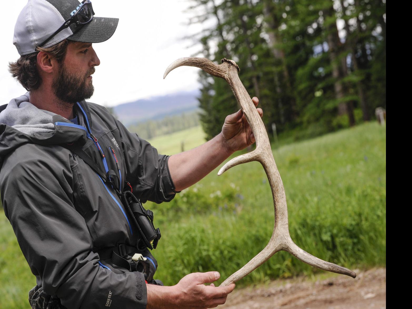 Photos The 2018 Blackfoot Clearwater Antler Hunt Montana